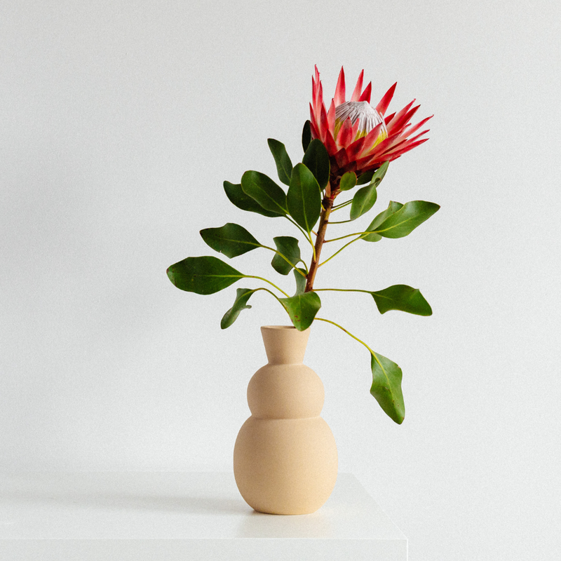 Beige vase with a red flower on a white background