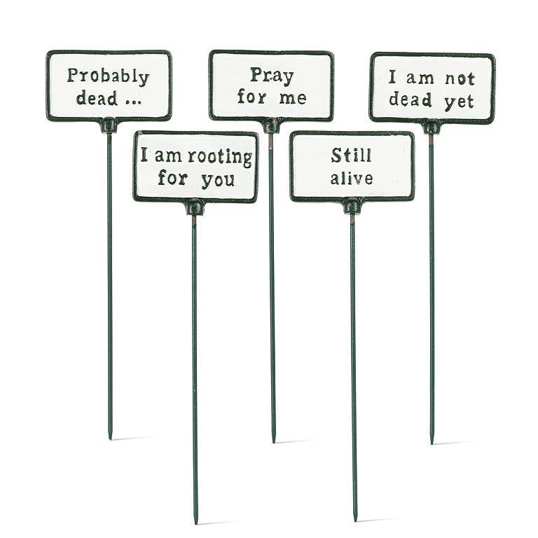 Five signs on sticks with humorous text messages on a white background