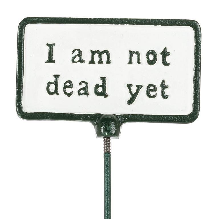 Metal sign with 'I am not dead yet' text on a white background