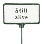 Metal sign with 'Still alive' text on a white background