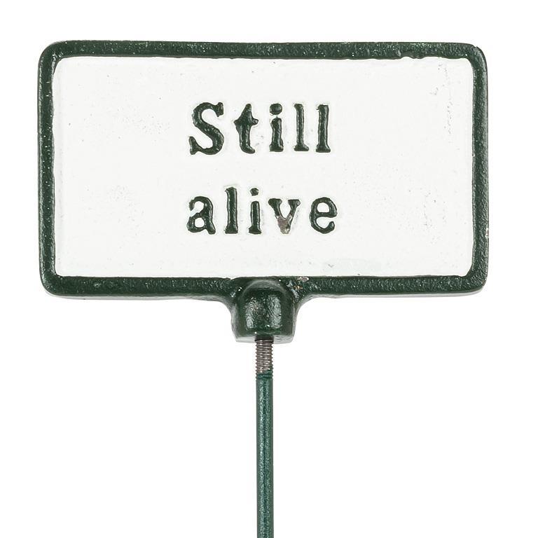Metal sign with 'Still alive' text on a white background