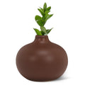Brown vase with a plant on a white background