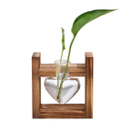 Glass vase with plant in a wooden frame on a white background
