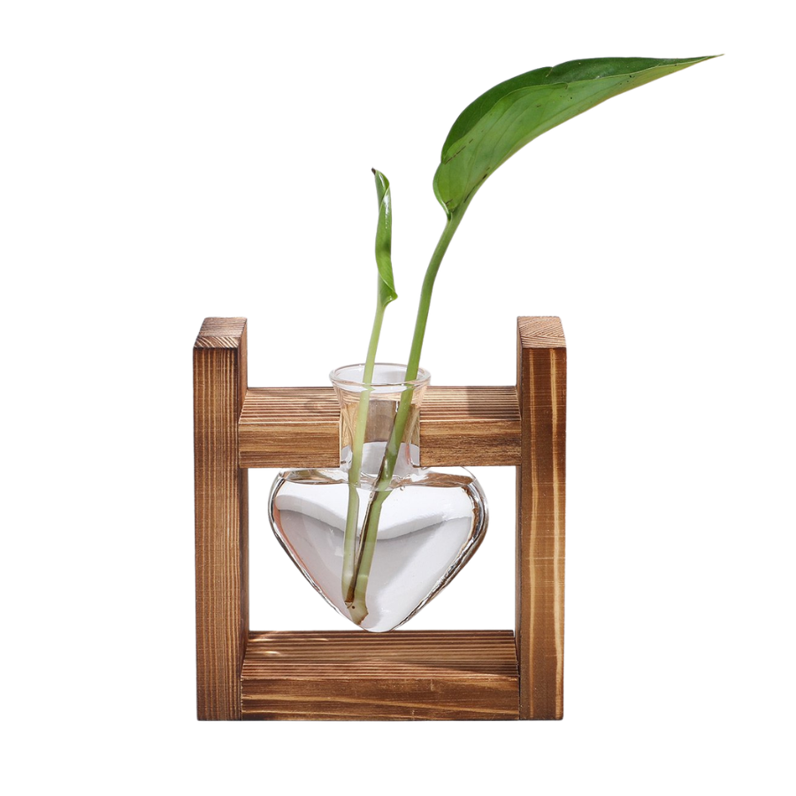 Glass vase with plant in a wooden frame on a white background