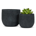 Two black textured planters with a green succulent on a white background