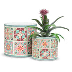Decorative plant pot with floral pattern and a small plant inside on a white background